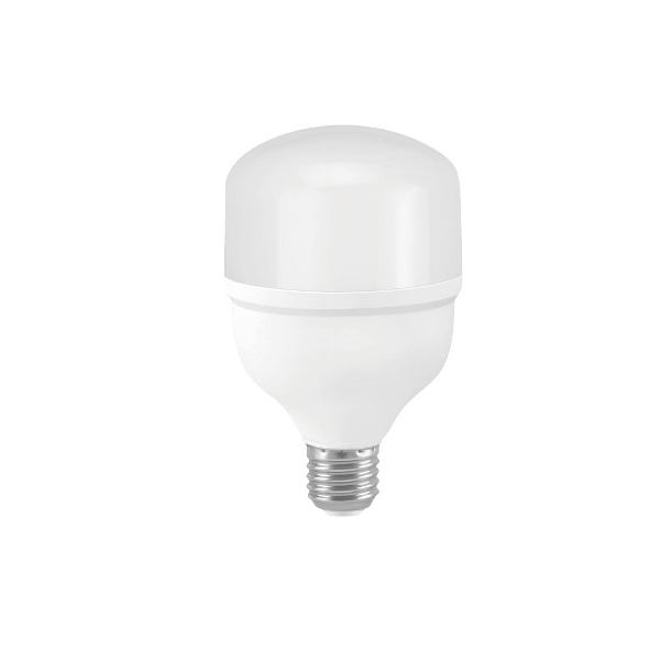 Bombilla LED T80