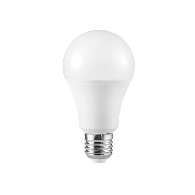Bombilla LED A65