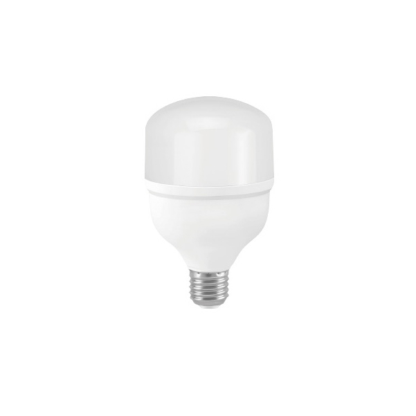 Bombilla LED T60
