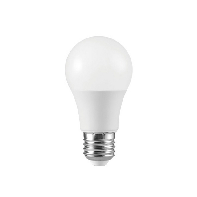 Bombilla LED A55