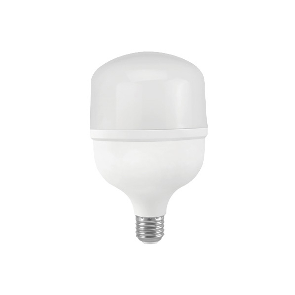 Bombilla LED T100